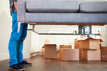 Removal Services