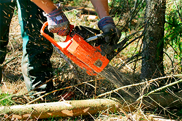 Garden Clearance