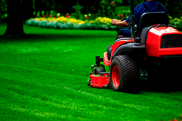 Lawn Care