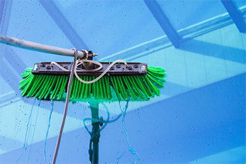 Window Cleaning